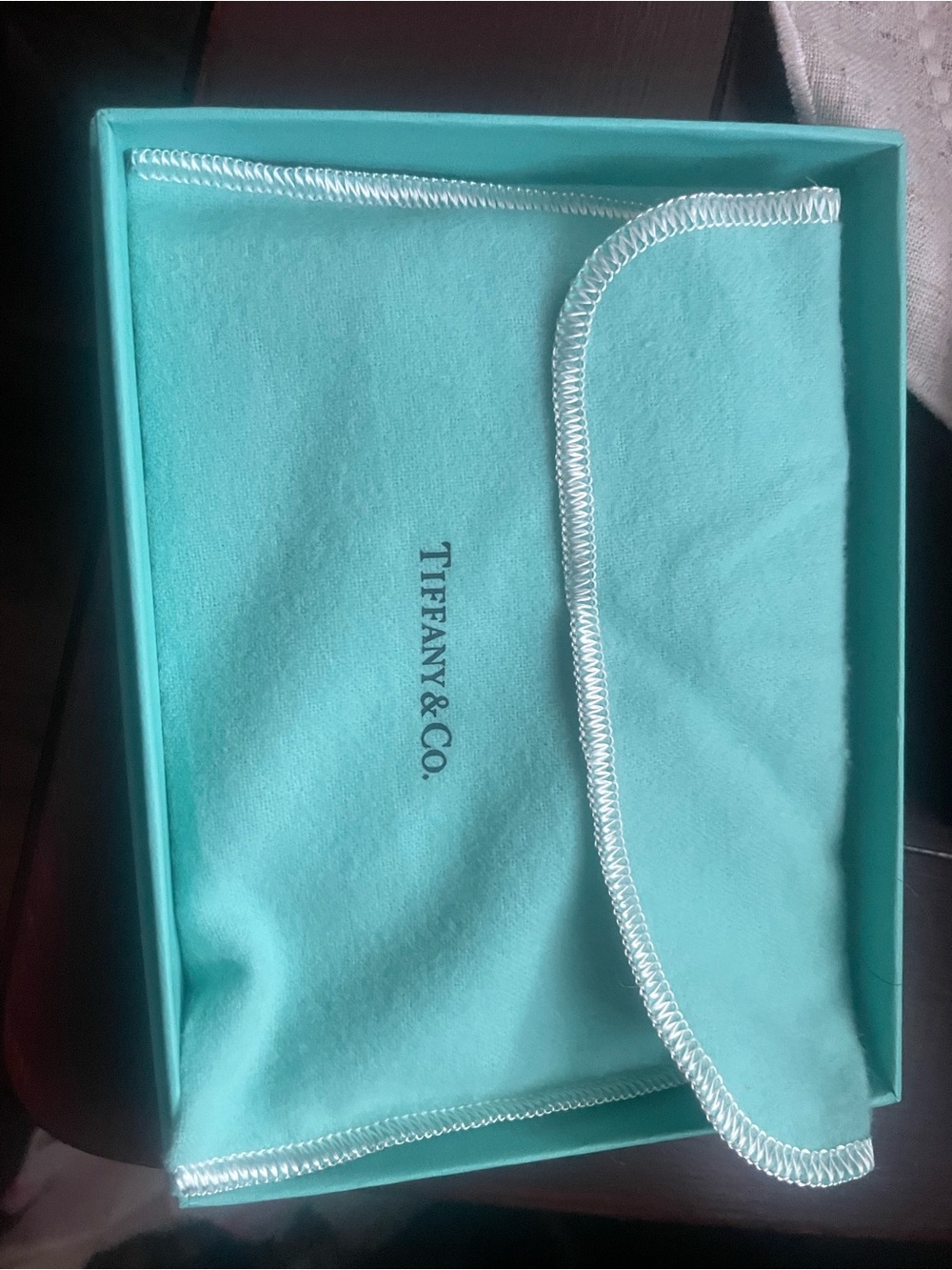 Tiffany & Co. Signature Turquoise Microfiber Pouch